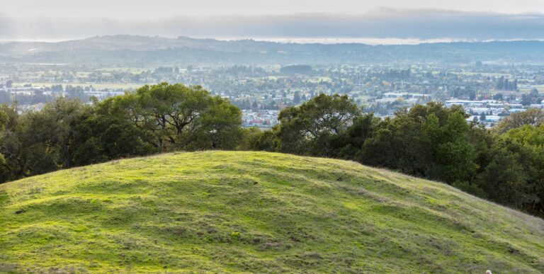 Image of Santa Rosa from a hillside overlooking the city.