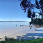 Aerial view of China Camp State Park shoreline and rolling hills in San Rafael, CA.