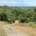 Ragle Ranch Regional Park trail with golden grass, oak trees, and forested hills under a partly cloudy sky in Sebastopol, CA.